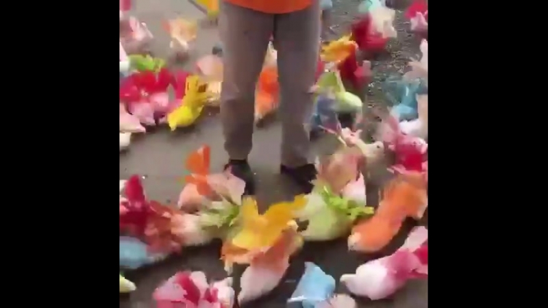 Голубки