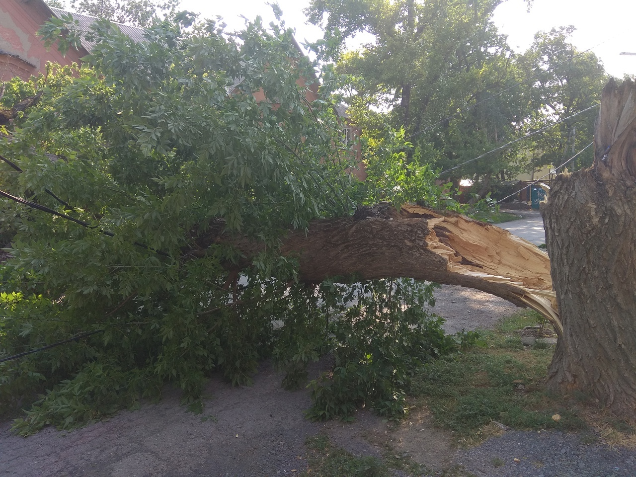 В Таганроге стихия нанесла урон в разных районах города