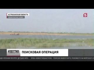 Трагедия в Астраханской области