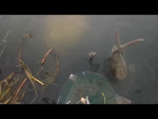 Ловля Леща на Донную Снасть