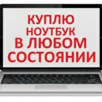 Дмитрий Мамеев | 