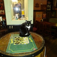 Игорь Кучеренко | Москва