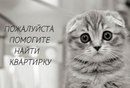 Объявление от Анастасия - фото №1