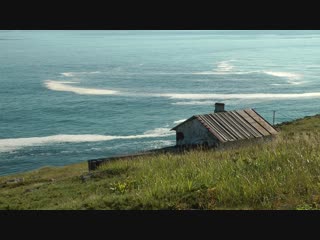 Последние Робинзоны Охотского моря (Светлана Быченко, 2018) трейлер