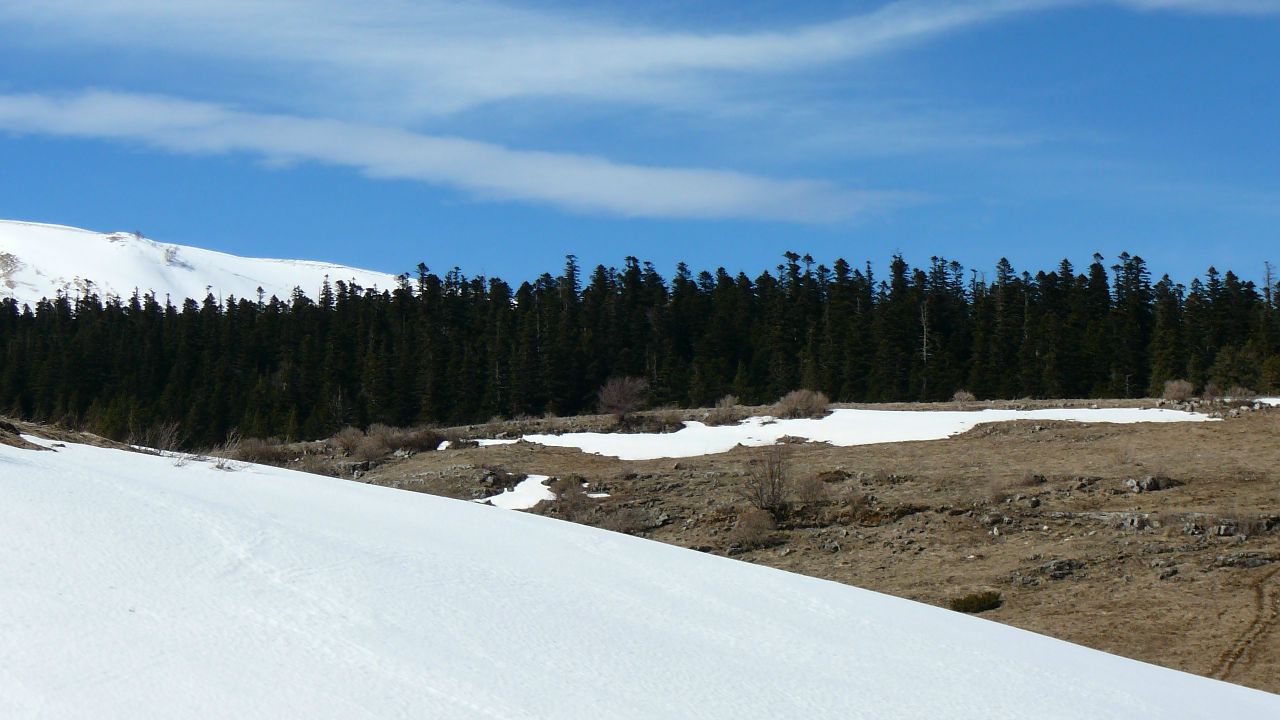 https://pp.userapi.com/c830509/v830509774/b0ebe/51TO4M_hn8I.jpg