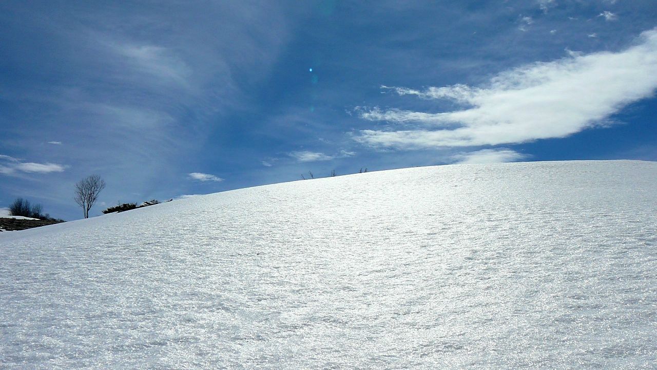 https://pp.userapi.com/c830509/v830509774/b0ef0/O7Trgn9Y6X0.jpg