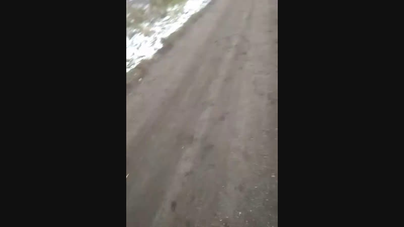 Яна Харламова - Live