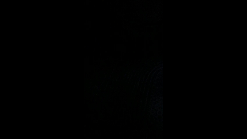Дастан Қырқбаев - Live
