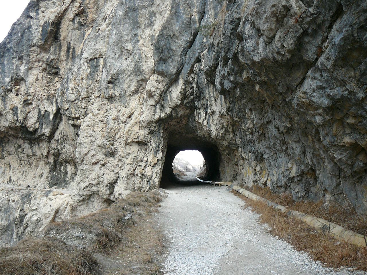 https://pp.userapi.com/c830608/v830608381/3cf7f/r5QLHQg12bc.jpg