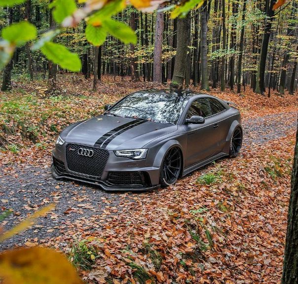 Audi SR66