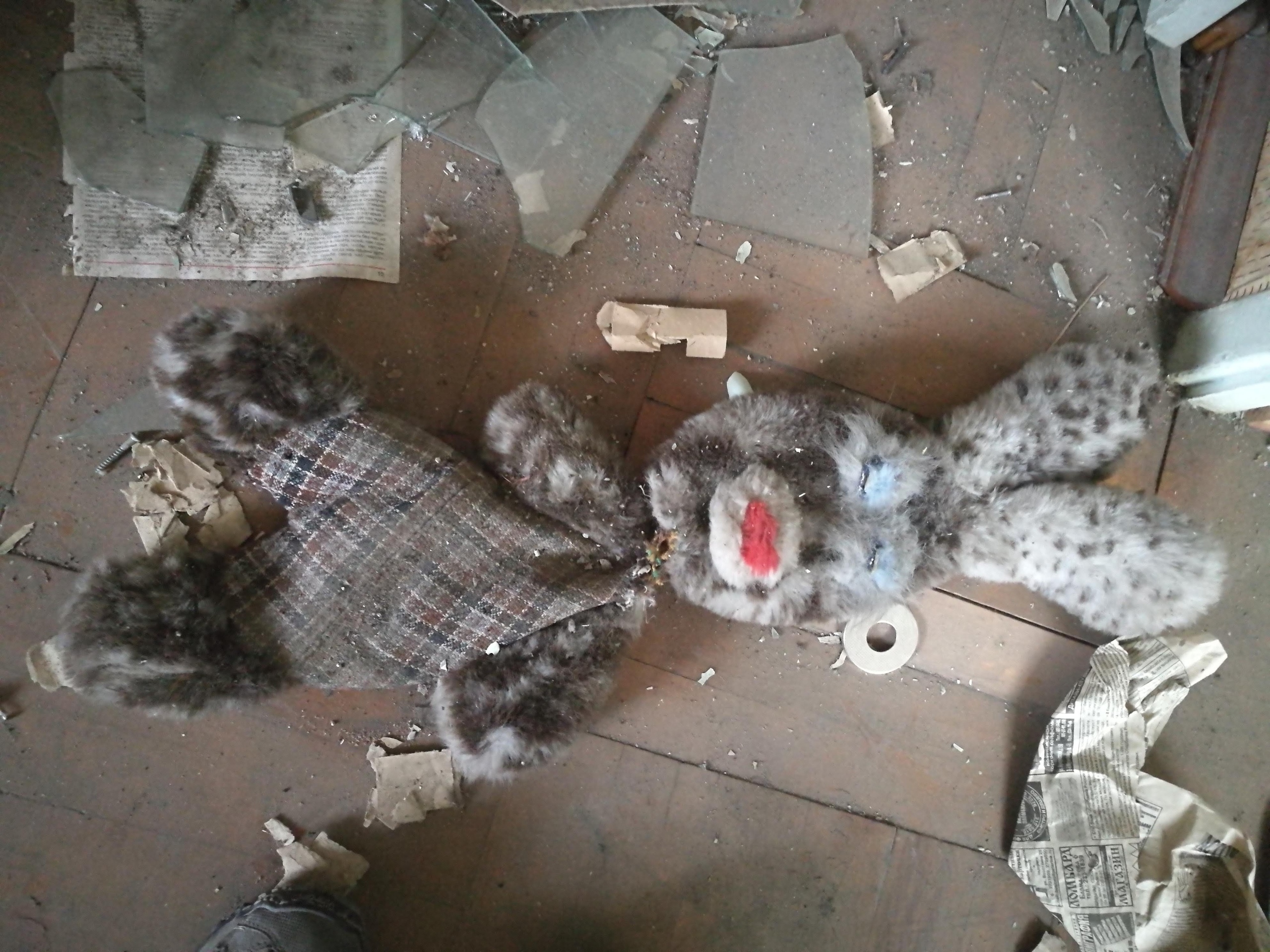 канонерский остров что интересного