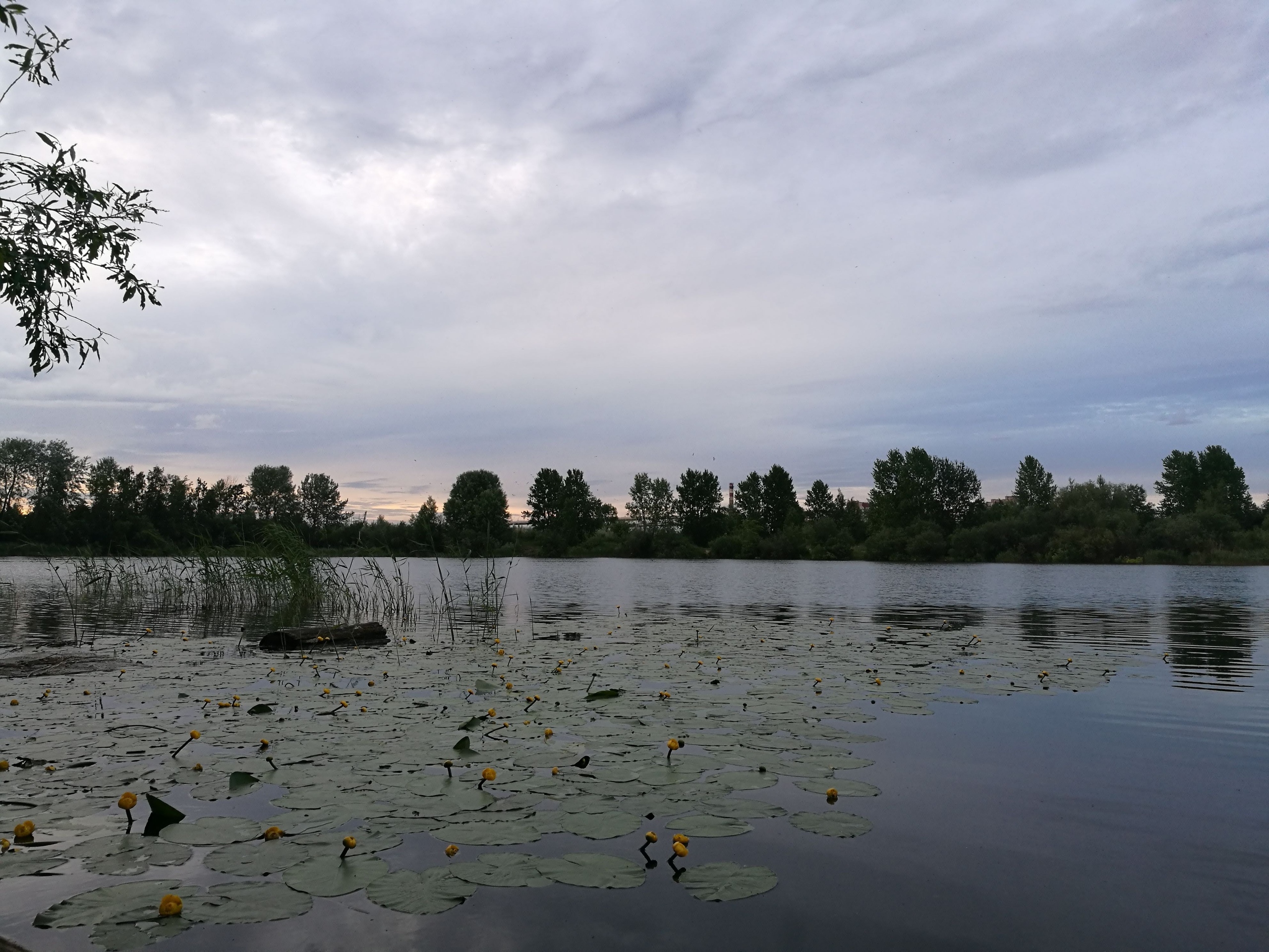 hl XzD9ByrE канонерский остров что интересного