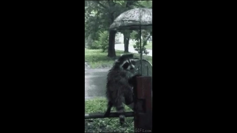 Doc103057526_463871108.mp4