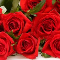 Наталья Бобко | 