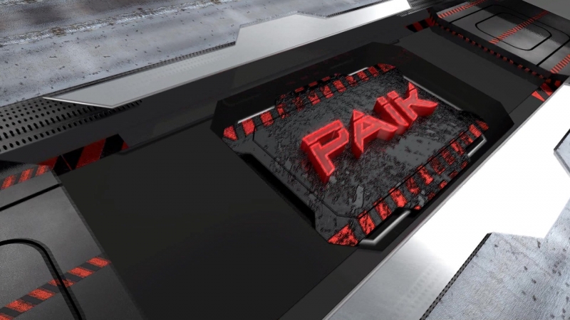 Intro-Paik