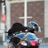 Роман Касьянов | 