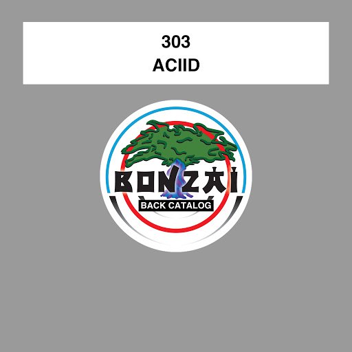 303 альбом Aciid