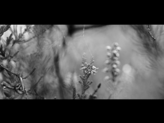 Анастасия Приходько - Саме той