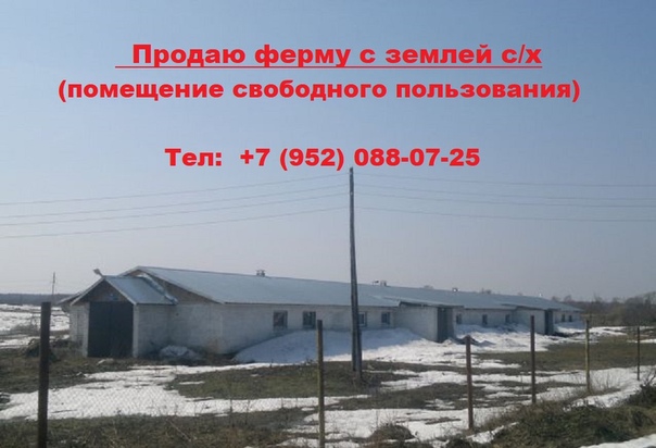 Фото: Продаю животноводческую ферму (помещение свободного пользования) с земельным участком в собственности 18000 кв.м. Ферма находится в д. Рязань, Кимрского района, Тверской области, 3 км. от г. Кимры, 140 км. от МКАД по Дмитровкому шоссе. <br>Площадь фермы 1000 кв/м., 2 комнаты для проживания рабочих, кухня, санузел, душ, электричество 22 киловатта. Новый транспортер ТСН-160, скважина. <br>В 100м. от фермы расположены река Кимрка, озеро Рязань и лес. Очень живописные места. Рассматриваю варианты рассрочки платежа. <br>Тел: +7(952)088-07-25