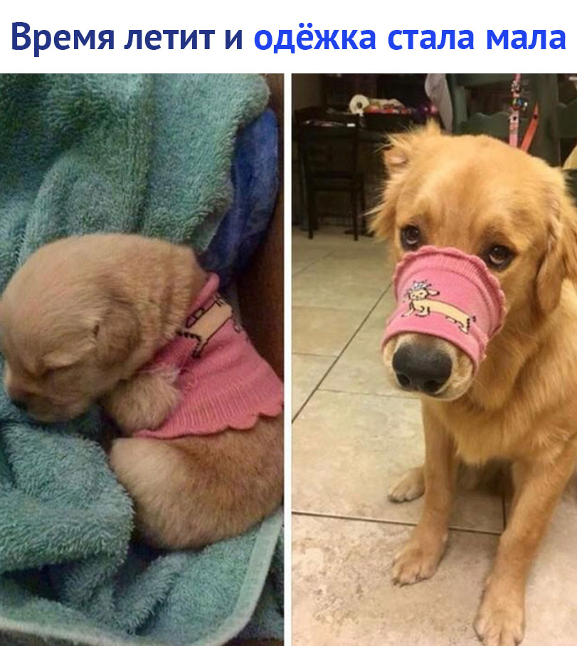 https://pp.userapi.com/c830708/v830708550/1ace30/we1VCY6yxyQ.jpg