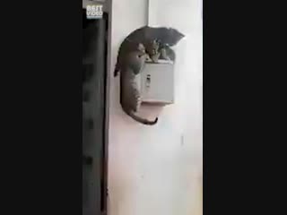 Я вам не помешаю тут?