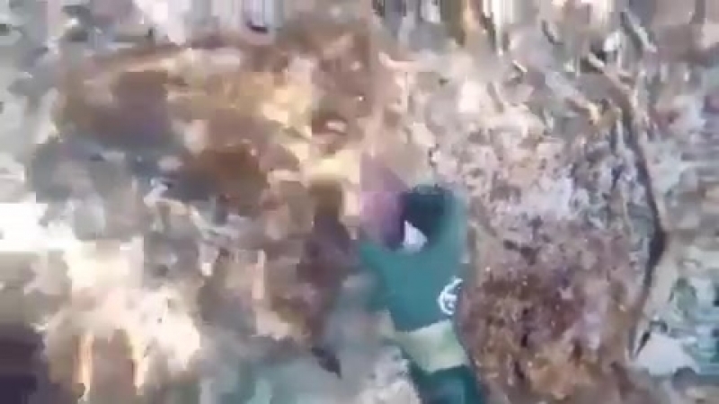 черебаха блеать