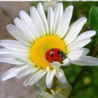 Наталья Васильева