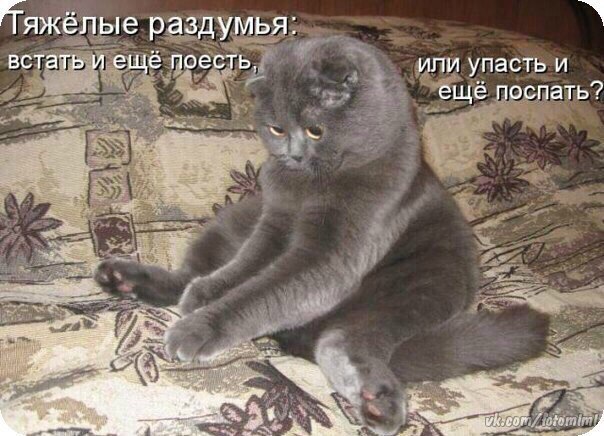 yFFVPTIIMn4.jpg