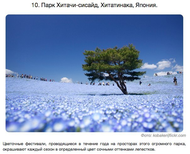 10 удивительных пейзажей нашей планеты, которые стоит увидеть своими глазами В мире встречаются места, не тронутые человеком и олицетворяющие настоящую магию природы. Трудно поверить, что к ним