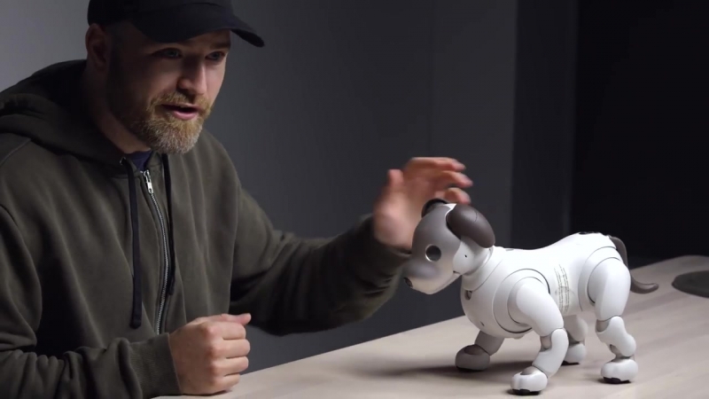 The $3000 Sony Aibo Robot Dog