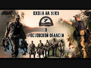 Охота на утку в Ростовской области