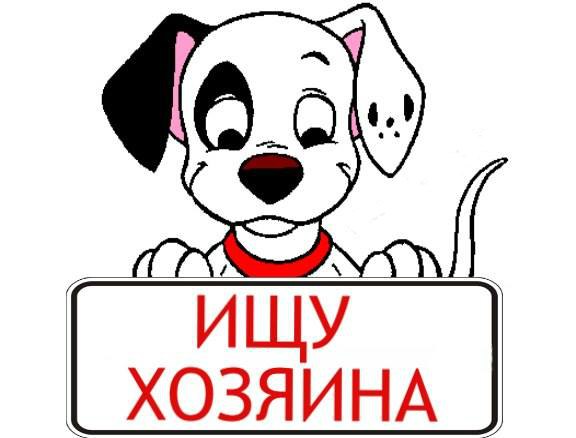 Картинка с надписью продам щенки