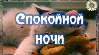 Красивое Спокойной Ночи Девушке Видео Открытка Пожелание Спокойной Ночи Девушке