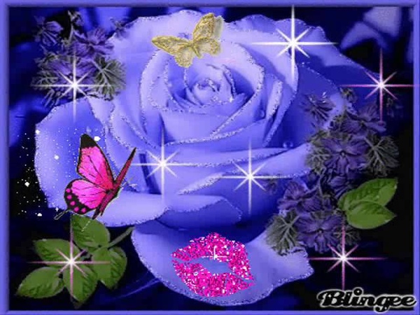 Buona Notte Amici Tutti