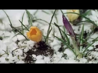 Фильм-сказка.