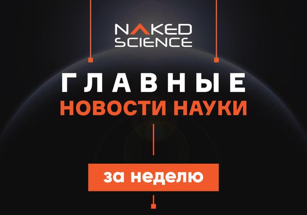 Главное за неделю: про борьбу со старением, фото взрыва сверхновой и самые эффективные антидепрессанты 
