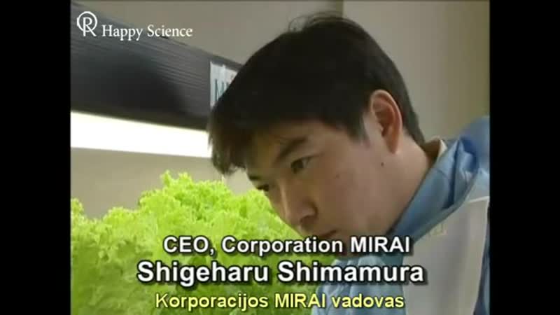 Вертикальные фермы Япония MIRAI