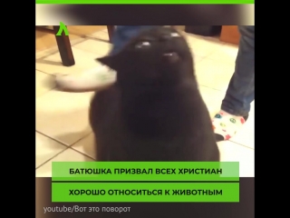 Молебен за братьев наших меньших | АКУЛА