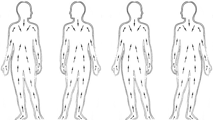 Лимфодренажная схема. Схема для лимфомассажа сухой щеткой. Лимфодренажный массаж сухой щеткой схема. Лимфодренажный массаж тела сухой щеткой схема. Лимфодренажный массаж сухой щеткой.