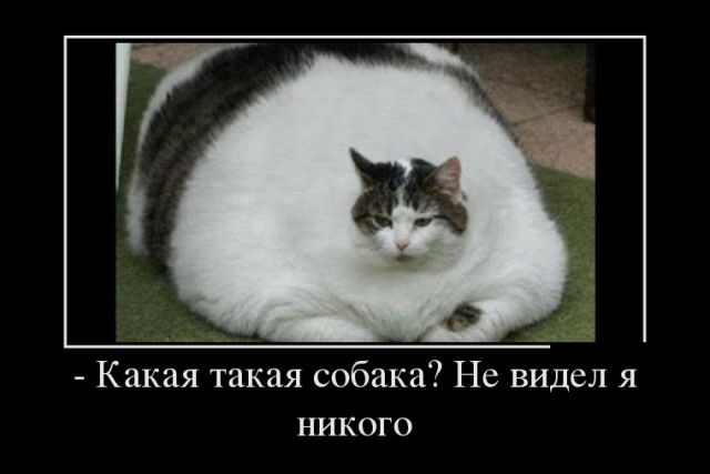nGEyH2Qh7Dk.jpg