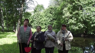 Поэтическая группа