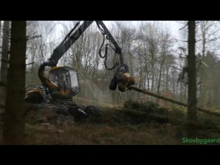 Ponsse Scorpion King, Buffalo Elk ¦ Primoth Raptor 3000 ¦ Albach Diamant 2000