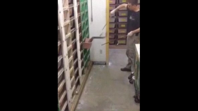 блеать.😳