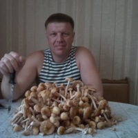 Дмитрий Изотов | Орёл