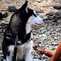 Яночка Иванова | Ростов-на-Дону