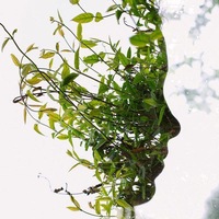 Марина Пааль