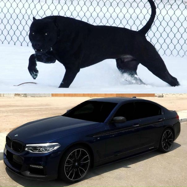 #BMW M550i G30 