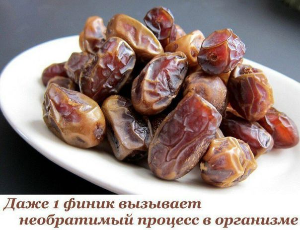 Даже 1 финик вызывает необратимый процесс в организме 