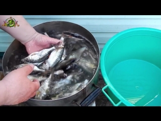 Как Вкусно Засолить Селедку Видео Как Вкусно Засолить Селедку Видео