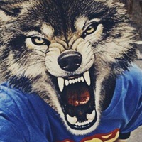 Вова Вершинин | 